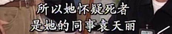 刑事侦缉档案袁天丽马成昌第五集,刑事侦缉档案袁天丽