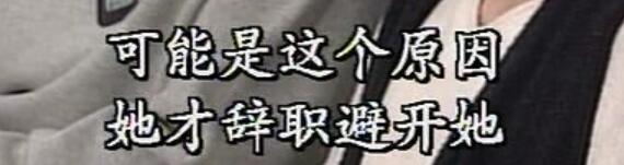 刑事侦缉档案袁天丽马成昌第五集,刑事侦缉档案袁天丽