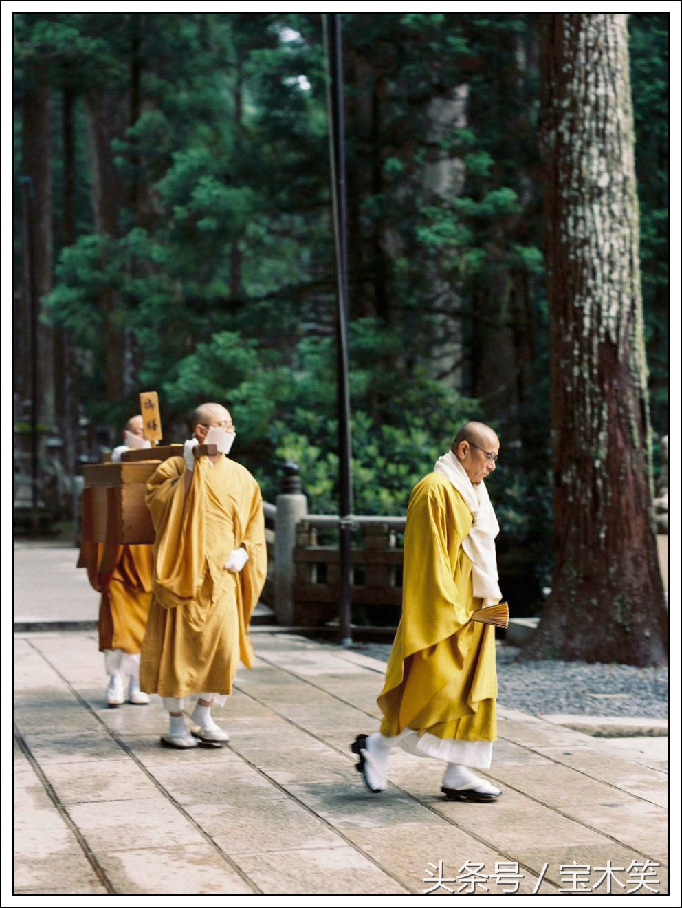 如俳句般绽放：谷口治郎的坚守和他的禅