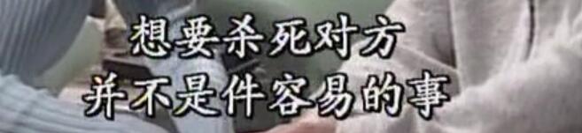 刑事侦缉档案袁天丽马成昌第五集,刑事侦缉档案袁天丽