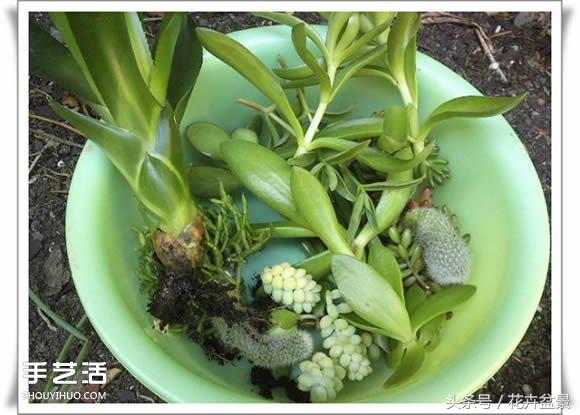 废旧物品盆景手工制作大全,创意手工盆景diy制作