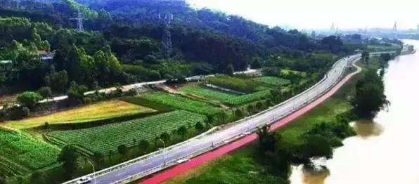 柳州“三月三”最全游玩攻略