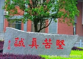 愿我走出半生归来仍是少年的句子,愿我走出半生归来仍是少年下一句