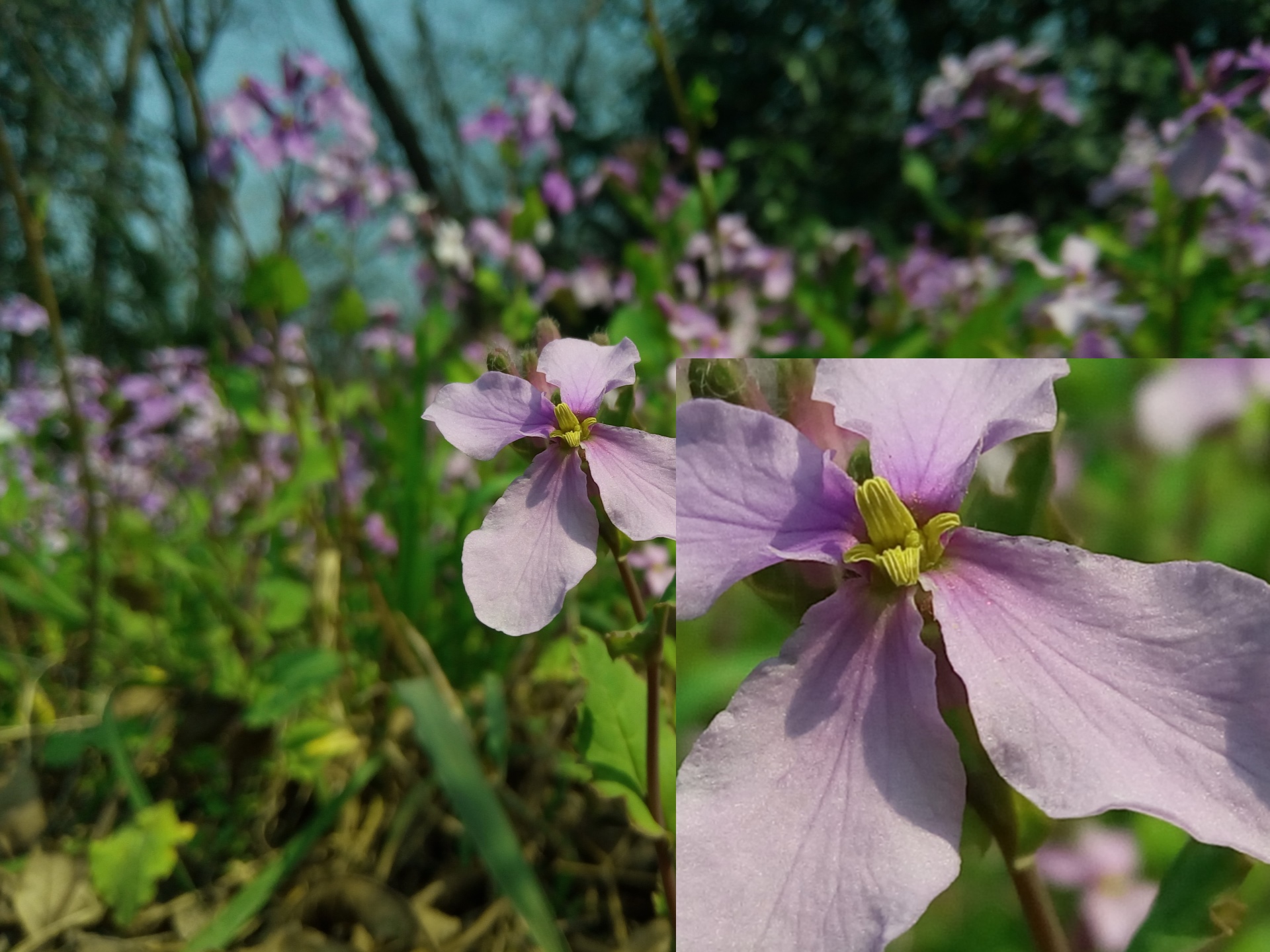 魅蓝5s详细参数,魅蓝5s全部参数
