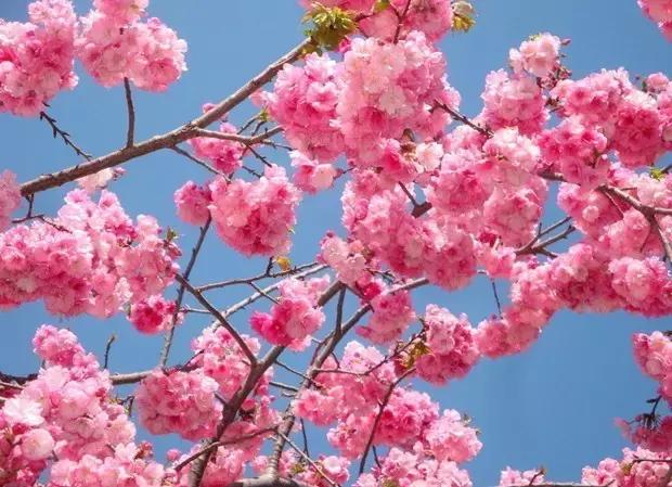 海口游玩攻略必去景点,海口旅游日常攻略大全最新