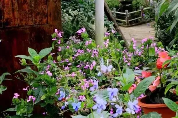 海口游玩攻略必去景点,海口旅游日常攻略大全最新