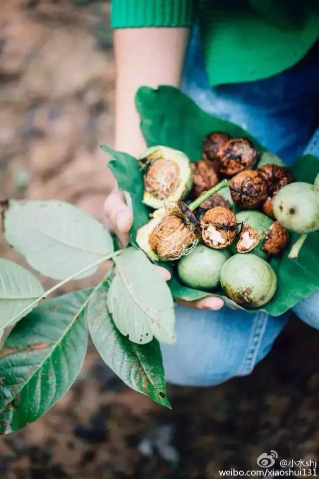 她是“成都第一私房菜美女老板”，与李易峰合作，和方大同录节目