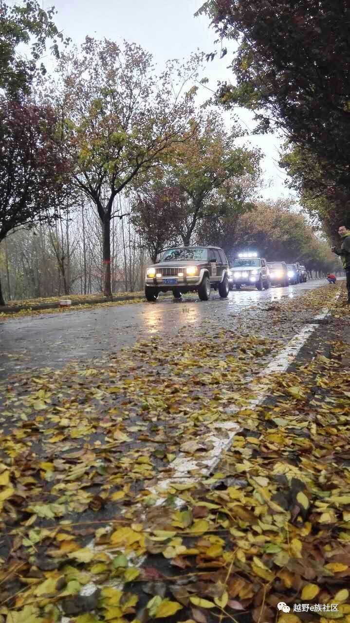 陪伴是最长情的告白——我和切诺基的故事