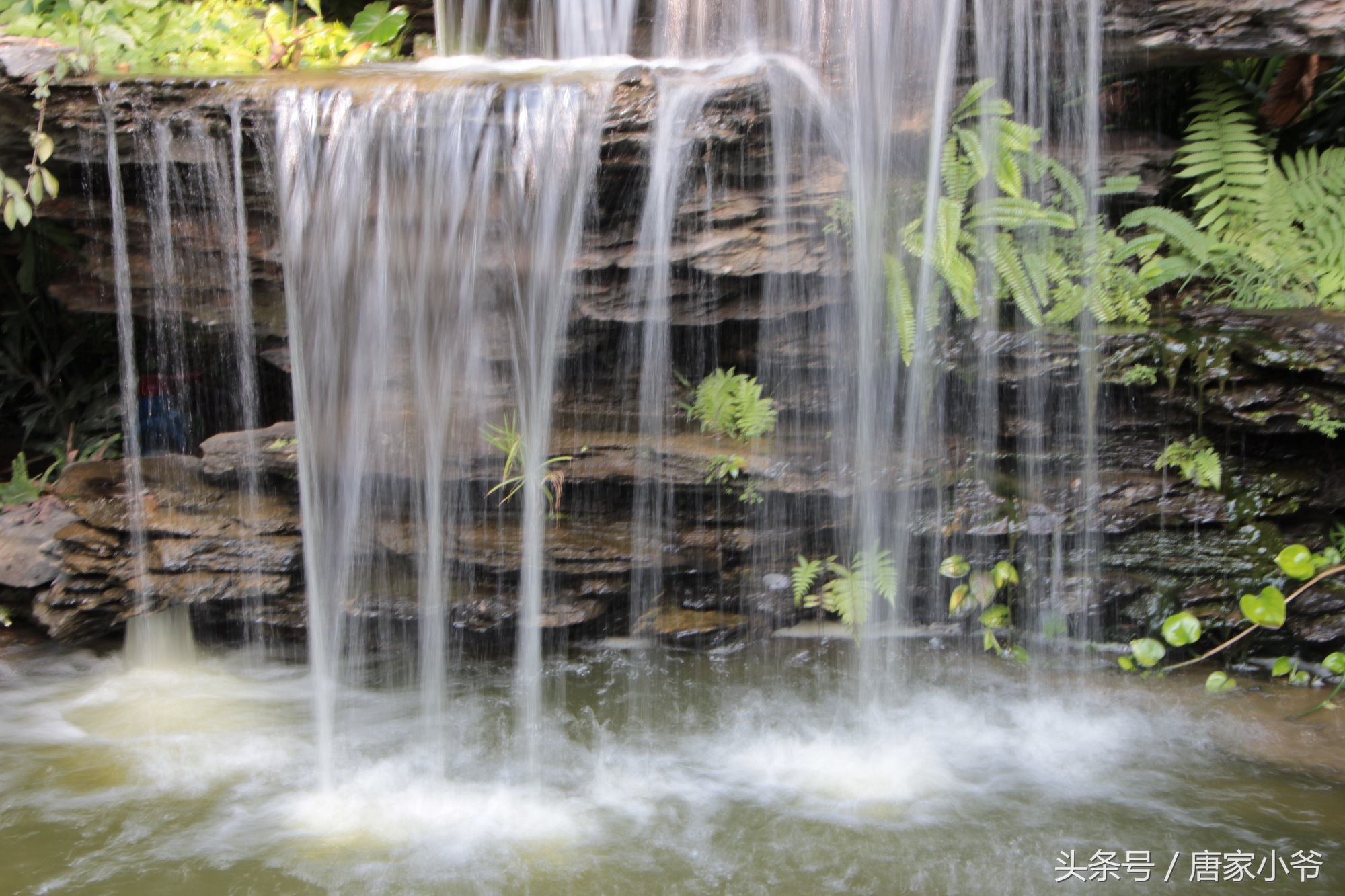 佳能700d样片欣赏,如何快速上手一台佳能700d