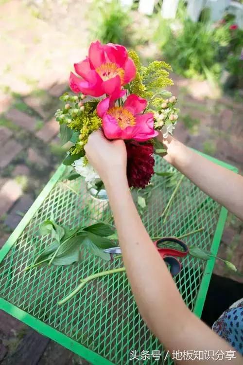 怎样插鲜花可以保鲜的时间久一点,插好的鲜花可以保持几天