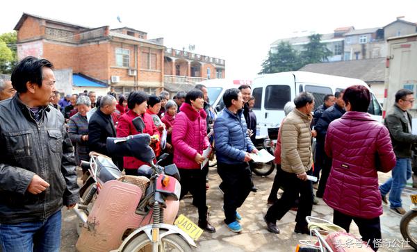 柑橘夏梢怎么防虫害,柑橘果树除虫最有效的方法