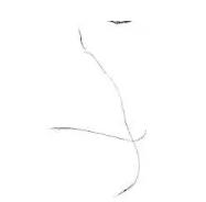 原画插画人物五官,角色原画五官画法