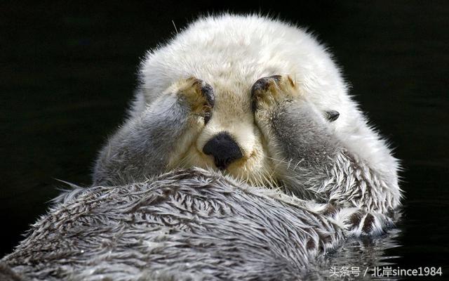 别傻了,你以为萧敬腾真是雨神,都是套路