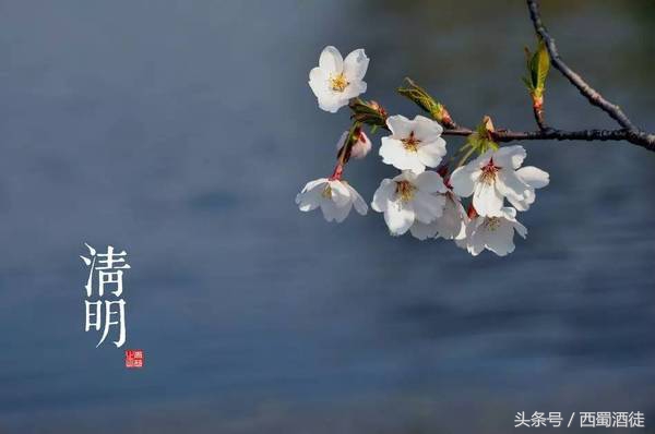 清明节扫墓俗语大全,上坟禁忌俗语