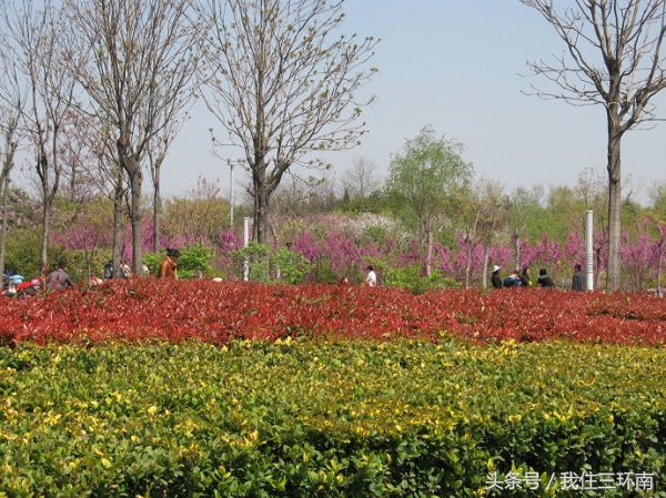 郑州市周边有哪些免费的公园,郑州十大免费公园排名