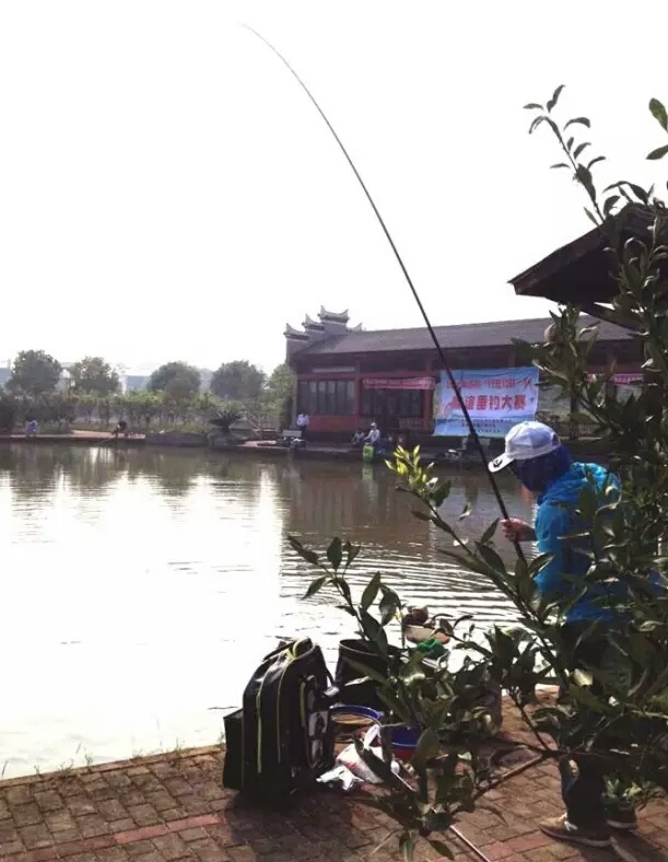 打窝钓鱼的六大方略,十六斤玉米粉打窝