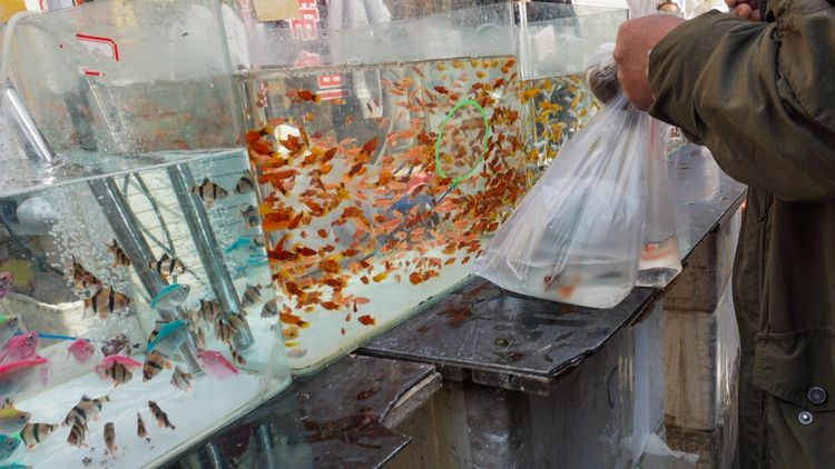 实拍：西安市井的味道