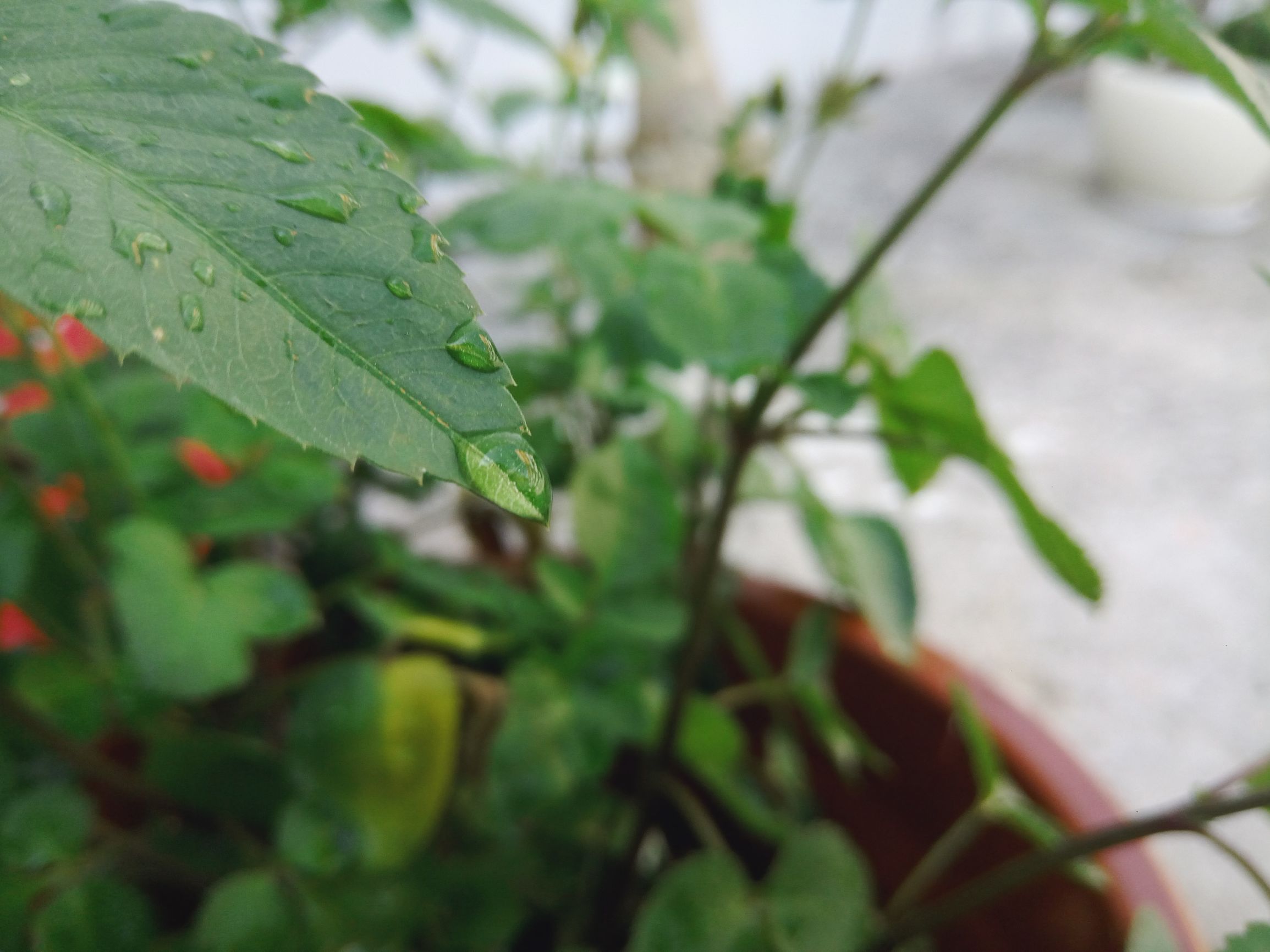 5s拍照技巧旅游,手把手教学手机拍照