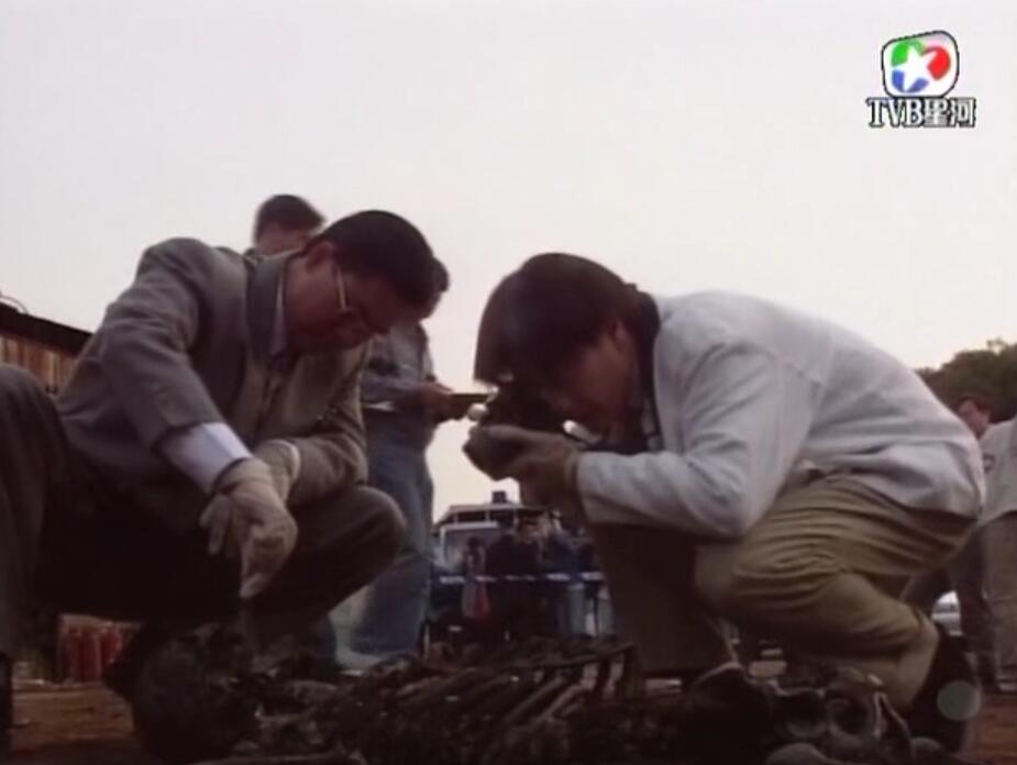 刑事侦缉档案袁天丽马成昌第五集,刑事侦缉档案袁天丽