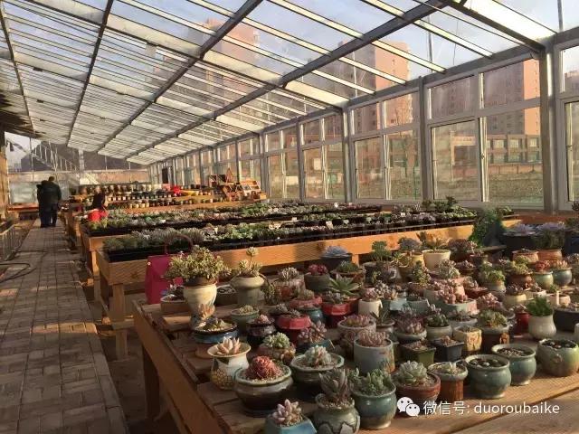 一入肉坑深似海下一句,一入肉坑深似海