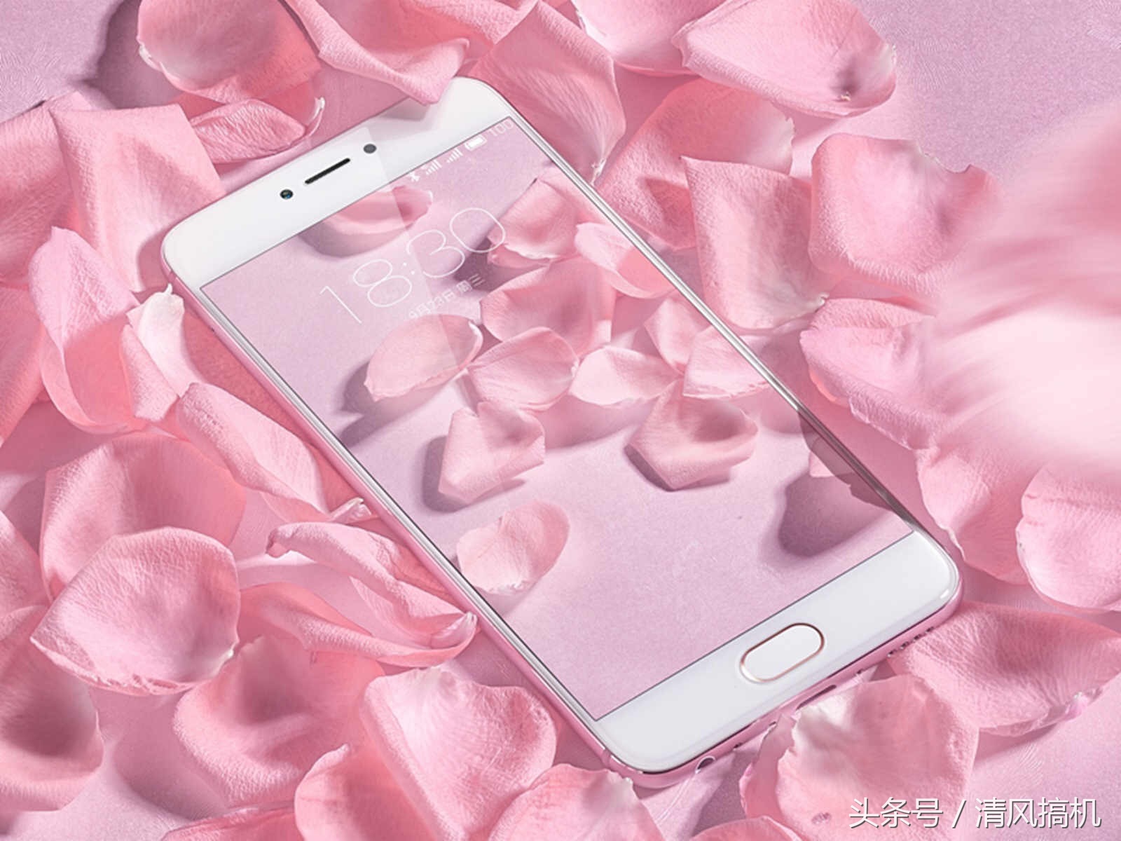 魅族现在有起色嘛,魅族今年火了吗