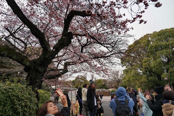 第一次出国旅游去哪个国家最合适,出国旅游过海关注意什么