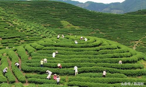 农村20个创业路子,无本创业22种方法农村