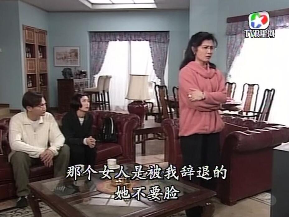 刑事侦缉档案袁天丽马成昌第五集,刑事侦缉档案袁天丽