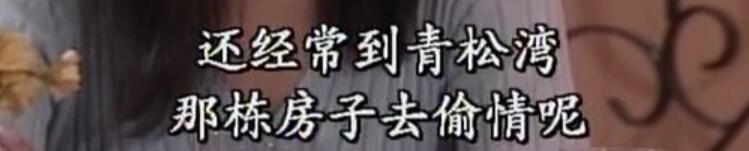 刑事侦缉档案袁天丽马成昌第五集,刑事侦缉档案袁天丽