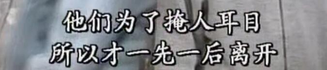 刑事侦缉档案袁天丽马成昌第五集,刑事侦缉档案袁天丽