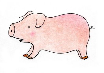 十二生肖五行相生相合,十二生肖五行哪些和哪些相生