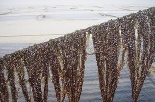 健康养生视频脚气,每日一方养生知识