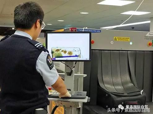 新西兰入境全过程 (不会英语新西兰入境流程)