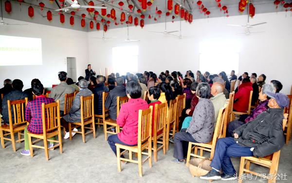 柑橘夏梢怎么防虫害,柑橘果树除虫最有效的方法