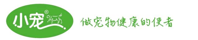 猫狗没有便便了？面临下岗的铲屎官该何去何从
