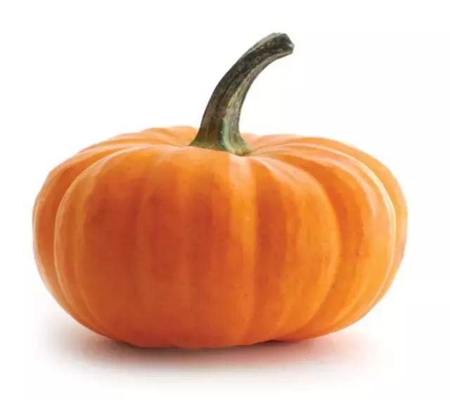 猫狗没有便便了？面临下岗的铲屎官该何去何从