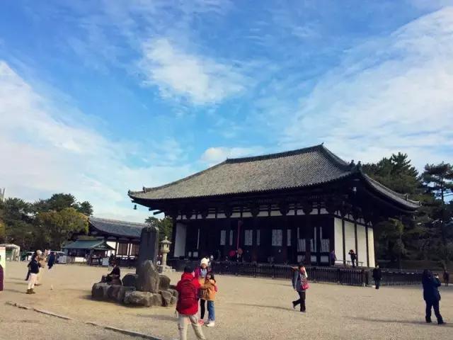 日本奈良看小鹿,日本奈良看小鹿视频