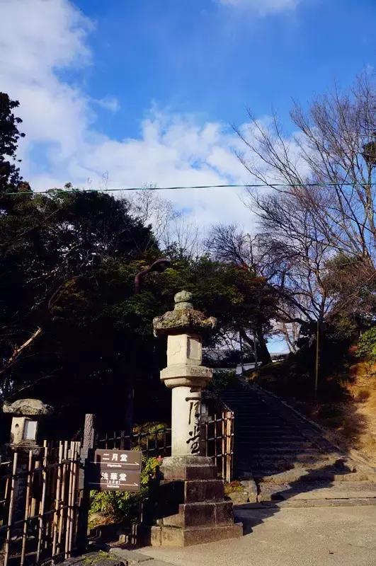 日本奈良看小鹿,日本奈良看小鹿视频