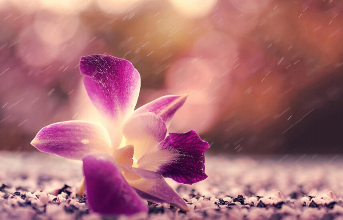 清明节语句悼念先辈简短,清明节寄哀思语录