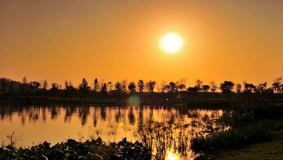 广州适合2月份去的湿地公园,假期旅游去哪里这里风景很迷人