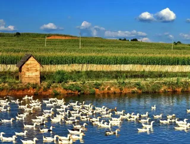 「亮了」魅力辽源，带你玩转清明小长假！