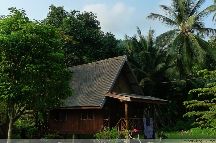 没有电没有通讯的孤独小岛生态奇好，巨大的蜥蜴自在游玩不怕人