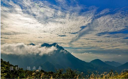 满山的杜鹃红艳艳纯音乐,满山杜鹃红艳艳