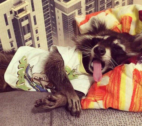 兄弟你穿衣服倒是长点心,这到底是几个意思