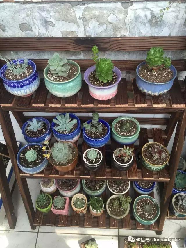 一入肉坑深似海下一句,一入肉坑深似海