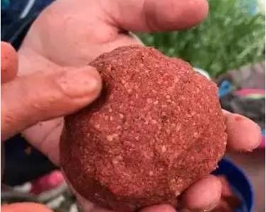 黑坑盛宴完整版,黑坑盛宴分解