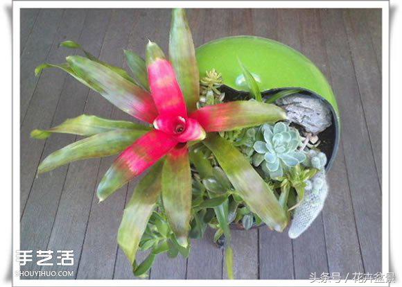 废旧物品盆景手工制作大全,创意手工盆景diy制作