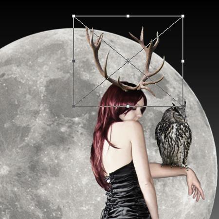 Photoshop设计梦幻边框的详细流程,photoshop项目式教程