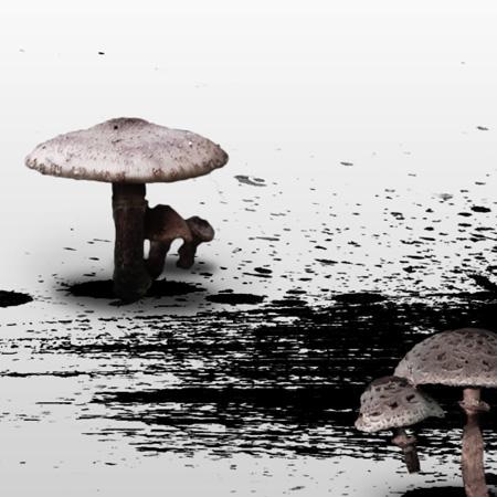 Photoshop设计梦幻边框的详细流程,photoshop项目式教程