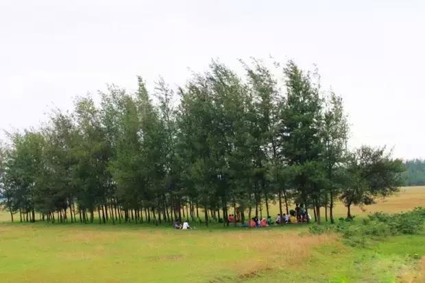 海口游玩攻略必去景点,海口旅游日常攻略大全最新